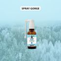 aromathérapie_huiles_essentielles_spray_gorge_hiver