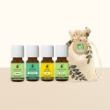 Coffret Huiles Essentielles BIO – Citron, Ravintsara, Tea Tree, Menthe – 4×10 ml