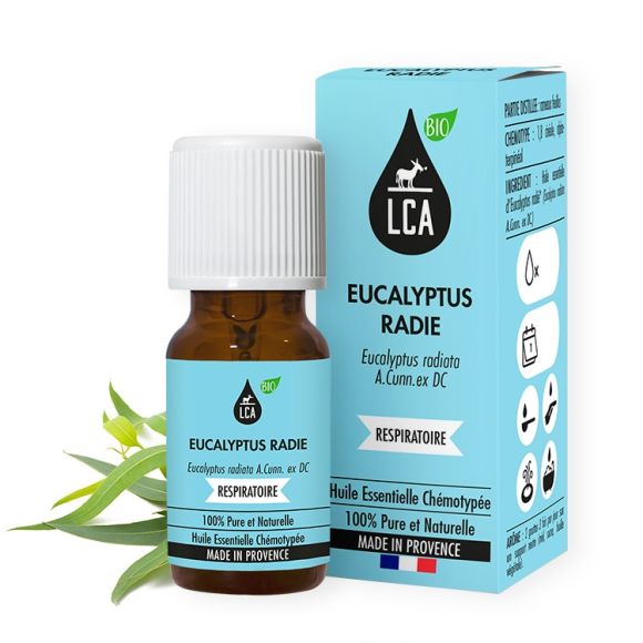 Huile Essentielle Eucalyptus Radié Bio* 100% Pure & Naturelle