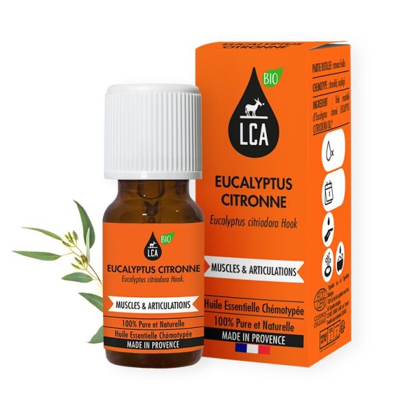 Huile essentielle bio d'Eucalyptus citronne (Eucalyptus citriodora)