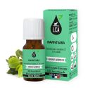 Huile essentielle Ravintsara bio - 10 ml lca aroma 02