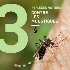 Focus sur notre gamme anti-moustiques ! 🦟⚠️   C’est un fait avéré, les moustiques sont de plus en plus nombreux chaque été et pour les éviter, mieux vaut être bien armé ! Chez LCA, nos répulsifs moustiques ont fait leurs preuves : ils sont formulés à base d’une substance active issues des feuilles d’eucalyptus citronné et sans gaz propulseur, sont efficaces contre les moustiques tigres et conviennent à toute la famille !   👉 Le spray répulsif moustique « famille » convient aux adultes comme aux enfants dès 30 mois et se présente en format économique de 150 ml 👉 Le format « enfants » s’emploie dès 6 mois et s’adresse à tous ceux qui font le choix de l’efficacité pour nos bambins 👉 Le format « pocket » est pratique et nomade : il s’emporte partout avec soi, y compris en valise cabine 👉 Le mélange d’huiles essentielles pour diffuseur citronnelle, éloigne les insectes piqueurs pour profiter au mieux de son intérieur ou de son extérieur en journée comme en soirée 👉 Le roll-on piqûres d’insectes, vous accompagnera de partout pour vous soulager en cas de piqûres   À vous de choisir pour passer l’été sans se faire piquer ! ☀️   #Aromathérapie #huileessentielle #huilesessentielles #aromatherapy #essentialoil #essentialoils #Provence #Valensole #Plateaudevalsensole #Alpesdehauteprovence #bio #moustique #moustiques #moustiquestigres #moustiquetigre #piquredinsecte #vacances #vacancesausoleil