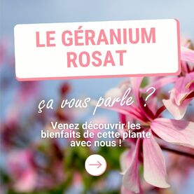 Le connaissez-vous vraiment ?Originaire d’Afrique du Sud, le géranium est une plante cultivée aujourd’hui dans le monde entier. Ses feuilles sont dentelées et ses fleurs sont roses, rouges ou blanches. Elles dégagent une odeur différente selon le lieu de pousse : les principaux pays producteurs sont la Chine, l’Afrique du Nord (Egypte) ou l’Ile de la Réunion qui produit le type « bourbon » à l’odeur fine et très délicate. Privilégiez toujours une huile essentielle provenant d’Egypte ou de l’Ile de la Réunion pour une composition idéale et une qualité optimale. 🌿Historiquement, cette huile essentielle a toujours été utilisée pour : 👉 Régénérer et assainir la peau, 👉 Stopper le saignement d’une plaie, 👉 Soulager le stress et l’anxiété, 👉 Eloigner les insectes piqueurs.Elle s’utilise depuis toujours en cosmétique ou en parfumerie pour prendre soin de la peau ou pour sa fragrance délicatement rosée. Mais ce trésor aromatique est aussi l’une des grandes huiles essentielles de l’été ! ☀️Le saviez-vous ? Plusieurs équipes de recherche ont même prouvé sa capacité à détruire plusieurs germes (bactéries, virus, champignons) dont la plupart se multiplient sur la peau. De belles perspectives pour cette huile essentielle indispensable !Vous avez envie de l’essayer ? Découvrez-la vite dans notre soin visage 100 % pur et naturel : 💧 HE de géranium rosat : 20 gouttes 💧 HE de bois de Hô : 6 gouttes 💧 HE d’hélichryse italienne : 4 gouttes 💧 HV de rose musquée : QSP 50 ml. Tous les soirs, appliquez 3 à 4 gouttes de ce sérum sur l’ensemble du visage, propre et sec avant d’y appliquer votre soin de nuit. * En accord avec les standards de l’IFRAVous connaissez cette huile essentielle ? Racontez-nous comment vous l’utilisez en commentaire. Nous avons hâte de vous lire et de répondre à vos questions !#Aromathérapie #huileessentielle #huilesessentielles #aromatherapy #essentialoil #essentialoils #Provence #Valensole #Plateaudevalsensole #Alpesdehauteprovence #qualite #geranium #geraniumrosat #geraniumbourbon #piquresdinsectes #moustique #moustiques #piquresdemoustiques #mycose #mycoses #peau #antiage #rose #frangrance