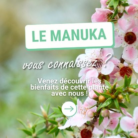 Le manuka : vous connaissez ? 🌿Le manuka est un arbrisseau originaire de Nouvelle-Zélande et de Tasmanie où règne un climat océanique plutôt doux. Il peut atteindre deux à trois mètres de haut. Son écorce forme de petites écailles, ses feuilles sont persistantes et ses fleurs sont odorantes, blanches voire légèrement rosées. Son huile essentielle est obtenue par distillation des rameaux et dégage une odeur fraiche et fleurie.Cette huile essentielle est traditionnellement utilisée pour : 👉 Contribuer à détruire certains germes, 👉 Aider à restaurer un meilleur aspect de la peau, 👉 Assainir l’atmosphère.Cette huile essentielle peut aussi être diffusée, notamment en hiver. Découvrez-la dans notre synergie pour votre intérieur : 💧 HE de manuka : 3 gouttes 💧 HE de ravintsara : 3 gouttes 💧 Essence de citron : 4 gouttes Convient aux adultes et s’utilise pendant 15 à 20 minutes, 2 à 3 fois par jour si besoin.⚠️ Précautions d’emploi : ne jamais utiliser pendant la grossesse et l’allaitement ou chez l’enfant de moins de 6 ans.Vous utilisez cette huile essentielle ? Dites-nous comment en commentaire !#Aromathérapie #huileessentielle #huilesessentielles #aromatherapy #essentialoil #essentialoils #Provence #Valensole #Plateaudevalsensole #Alpesdehauteprovence #qualite #manuka #hiver #synergie