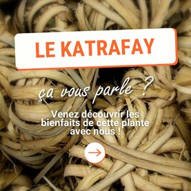 Originaire de Madagascar, le katrafay (ou katafray) est un arbre pouvant atteindre 15 mètres de haut. Son écorce est grise et très odorante car c’est là qu’est stockée son huile essentielle dont l’odeur est boisée, ronde, puissante et plaisante. Elle évoque le dynamisme car elle redonne du tonus et de l’énergie. ☀️Ce sont les écorces broyées de katrafay qui sont distillées. La qualité de la distillation est primordiale pour obtenir une huile essentielle de grande qualité. Elle doit être réalisée à basse pression et basse température pour obtenir toutes les molécules nécessaires à son action. Son odeur révèle immédiatement le niveau de qualité obtenu. 🌿La population Malgache l’utilise pour : 👉 Aider à soulager les douleurs musculaires ou articulaires, 👉 Contribuer à réduire les maux de tête, 👉 Retrouver du tonus.⚠️ Soyez prudents : veillez toujours à utiliser cette huile essentielle diluée sur la peau et à ne pas l’employer chez les enfants de moins de 7 ans, la femme enceinte ou allaitante.Pour soulager l’inconfort musculaire, en complément des traitements traditionnels : 💧 HE de katrafay : 2 gouttes 💧 HE d’eucalyptus citronné : 2 gouttes 💧 HE de lavandin super de Provence : 1 goutte 💧 HV d’arnica : 5 mlUtilisez ce mélange 2 fois par jour sur les zones concernées. Ne convient pas à la femme enceinte ou allaitante. * En accord avec les standards de l’IFRA 51.Vous connaissiez cette huile essentielle ? Partagez avec nous vos expériences en commentaire. Nous avons hâte de vous lire !#Aromathérapie #huileessentielle #huilesessentielles #aromatherapy #essentialoil #essentialoils #Provence #Valensole #Plateaudevalsensole #Alpesdehauteprovence #qualite #katrafay #katafray #Madagascar