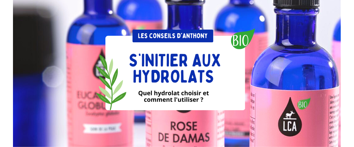 Hydrolat de Tea Tree : bienfaits et utilisations en cosmétique et