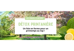 Détox printanière : Un foie en forme pour un printemps au top !