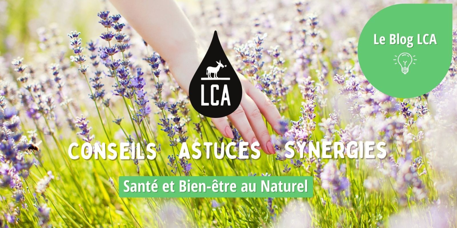 Le Blog LCA Aroma